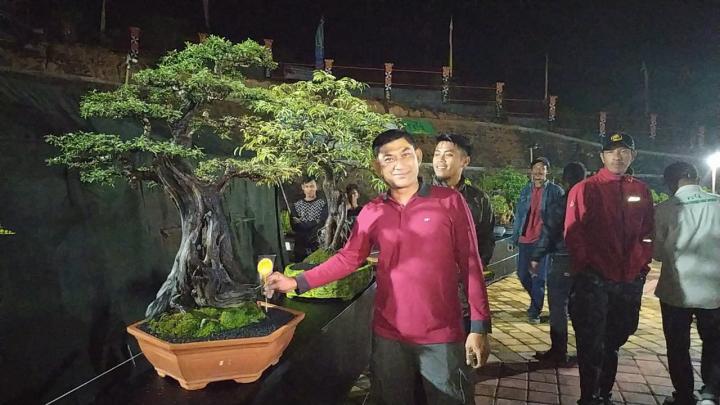 Kontes Bonsai Kelas Bintang Pertama di Sumatera akan Digelar di Kebun Raya Liwa
